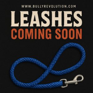 Leashes - COMING SOON