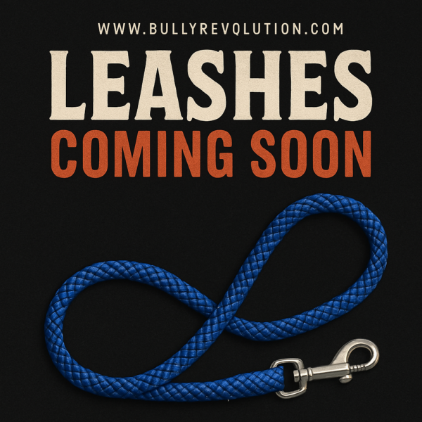 Leashes - COMING SOON