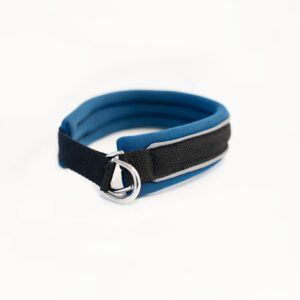 Slip On Collar | Foam Padded - Blue