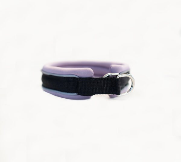 Slip On Collar | Foam Padded - Lavender - Image 3