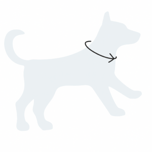 Dog neck measurement diagram