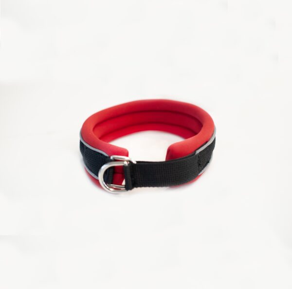 Slip On Collar | Foam Padded - Red