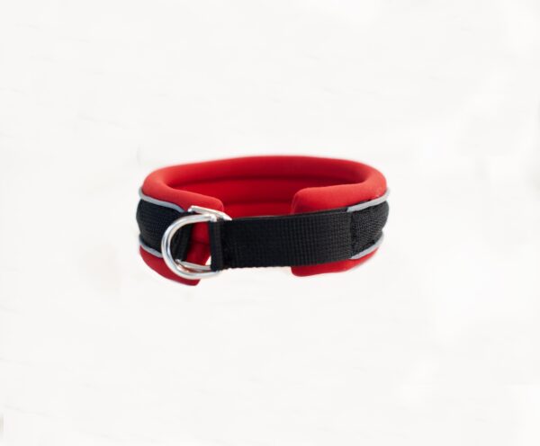 Slip On Collar | Foam Padded - Red - Image 2