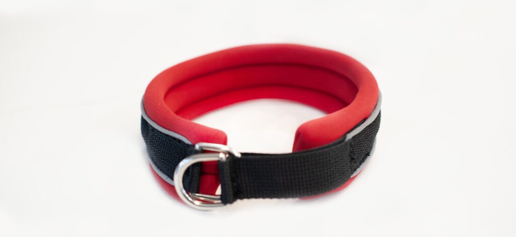 Heavy-duty red and black padded dog collar designed for bully breeds.