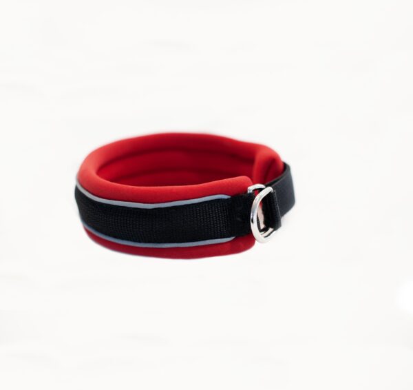 Slip On Collar | Foam Padded - Red - Image 3