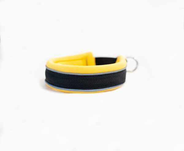 Slip On Collar | Foam Padded - Yellow